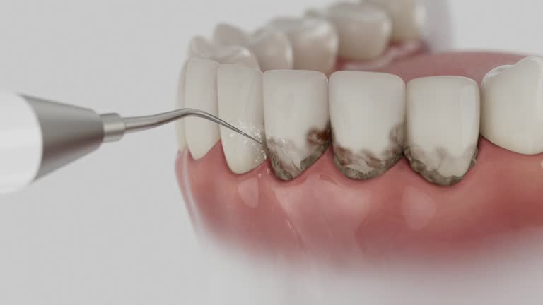 Reliable Dental contractor in Scottsville, KY by Dentist Open Now